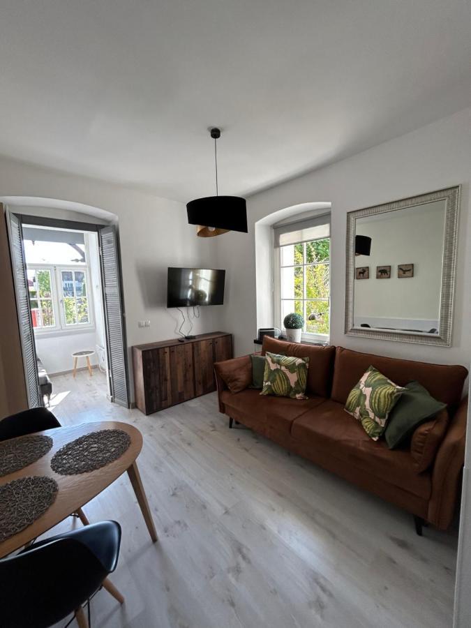 Apartment Rozany